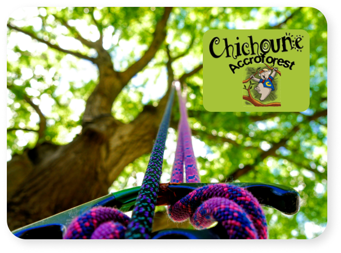 Chichoune Accroforest