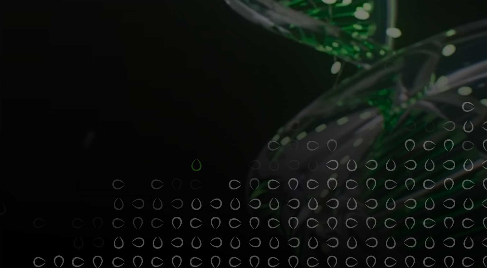 header essentiel
