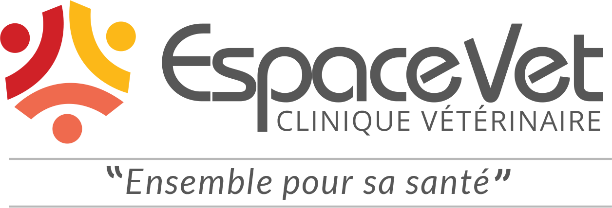 logo fondtransparent
