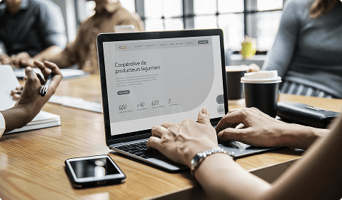 Wireframes_Rosee_des_Champs