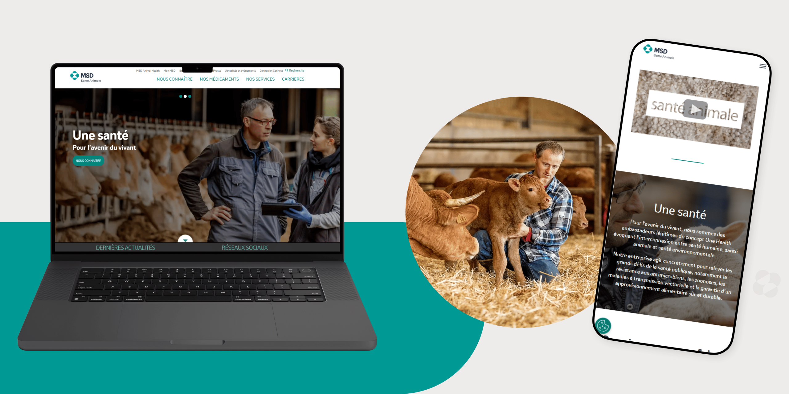 Site web MSD santé animale