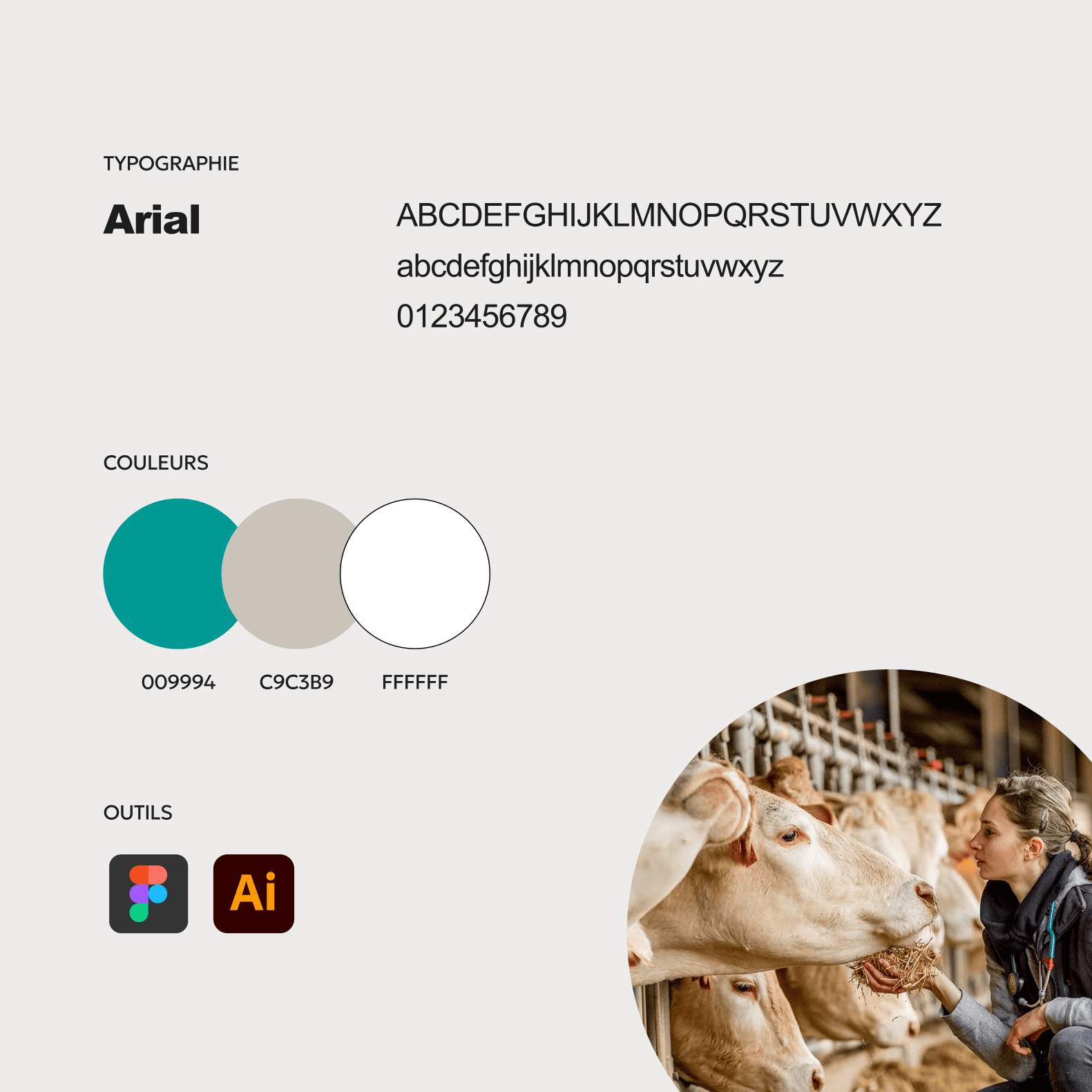 Identité visuelle MSD santé animale