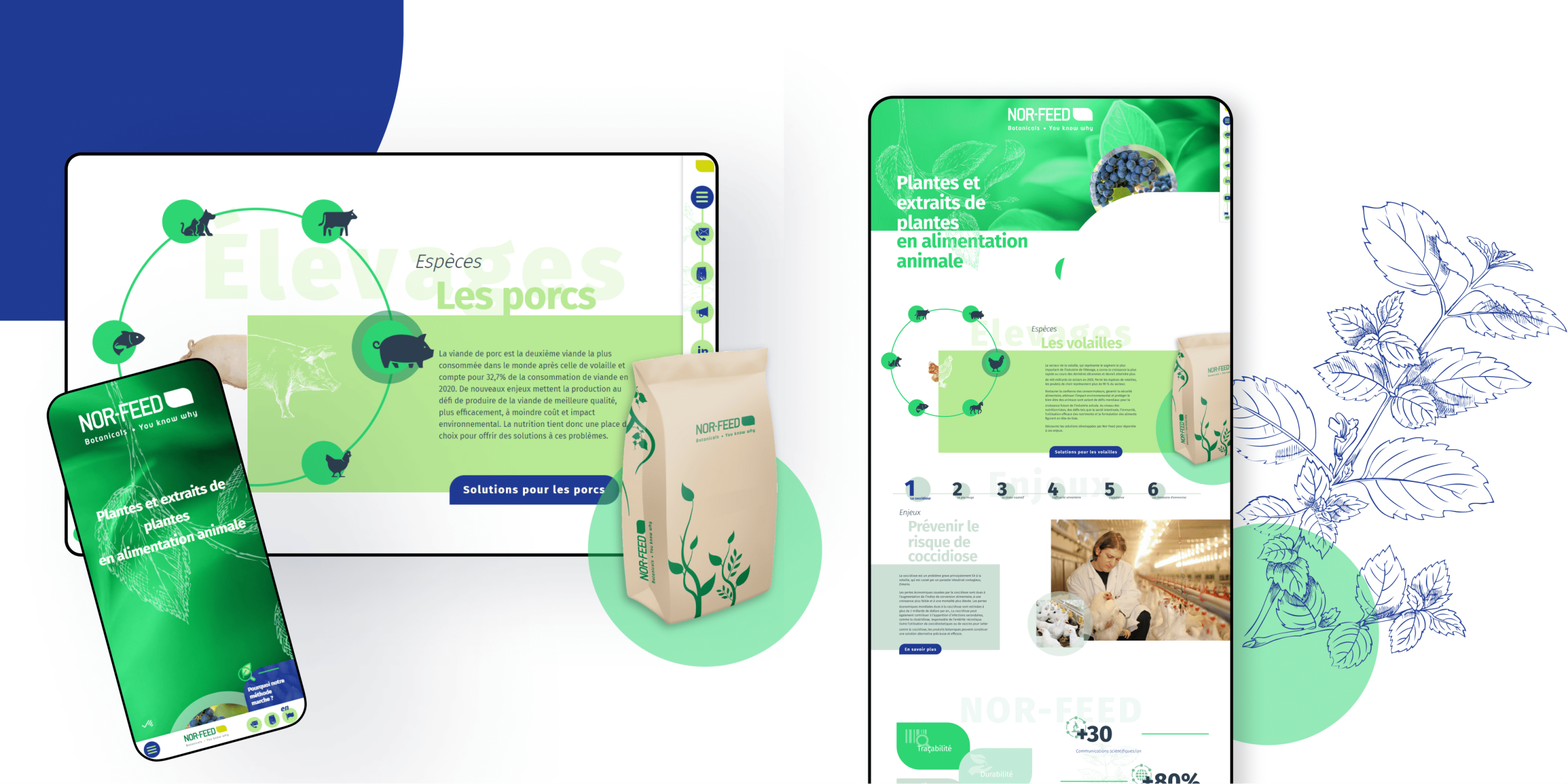 Site web Nord-Feed