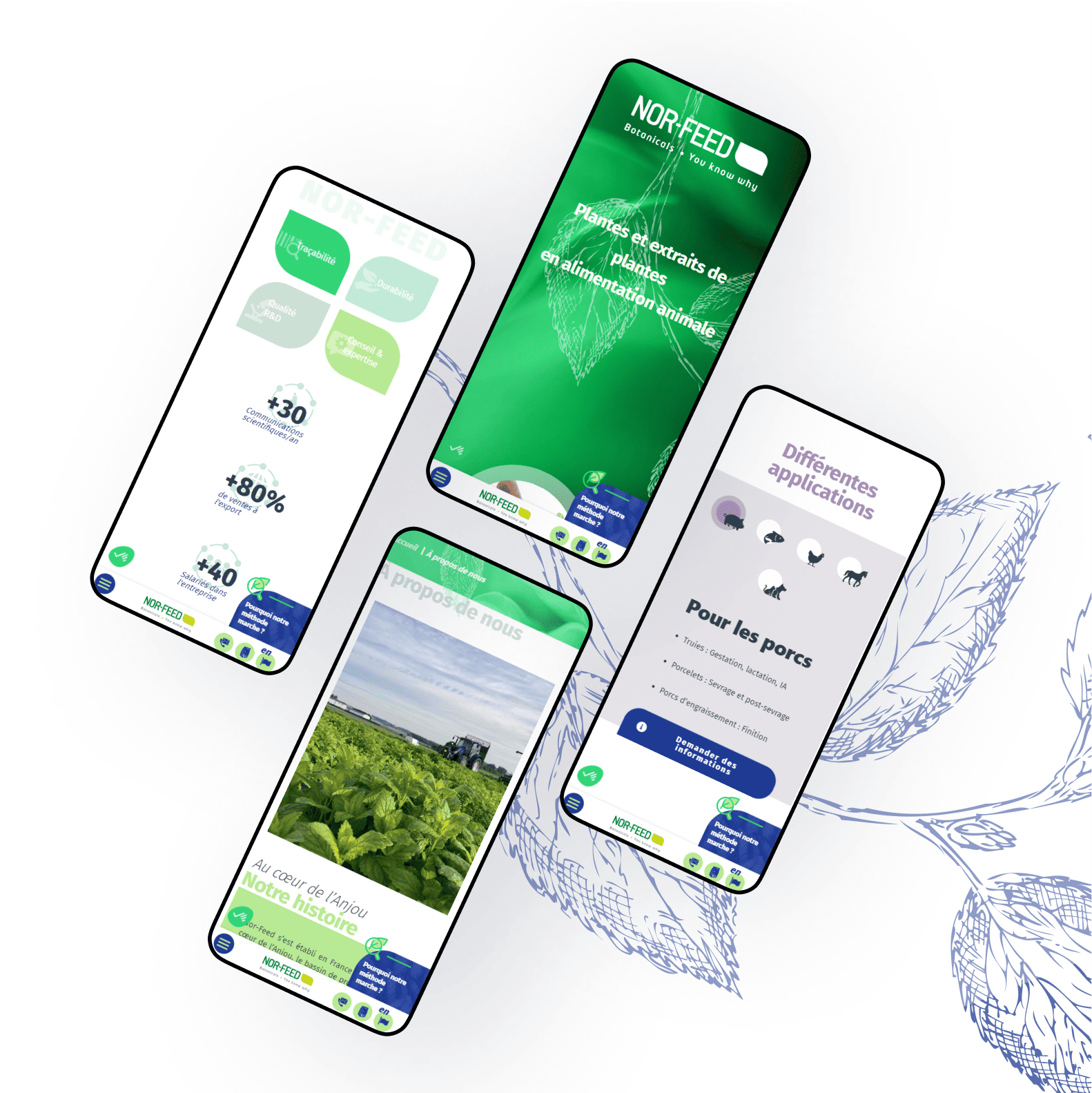 Site web Nord-Feed