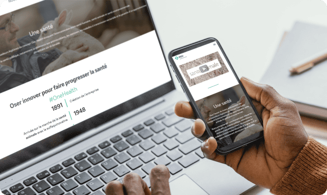 Mise en ligne MSD santé animale