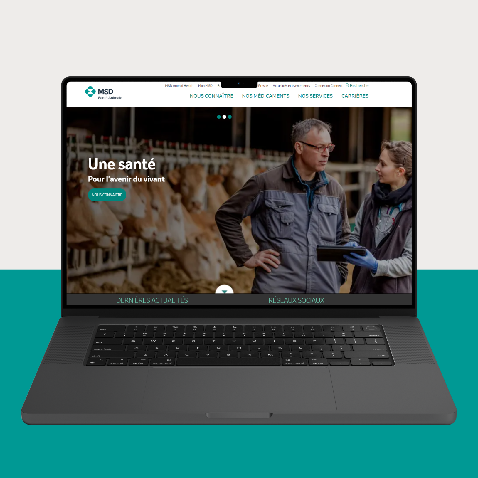 instagram post 216 (2)