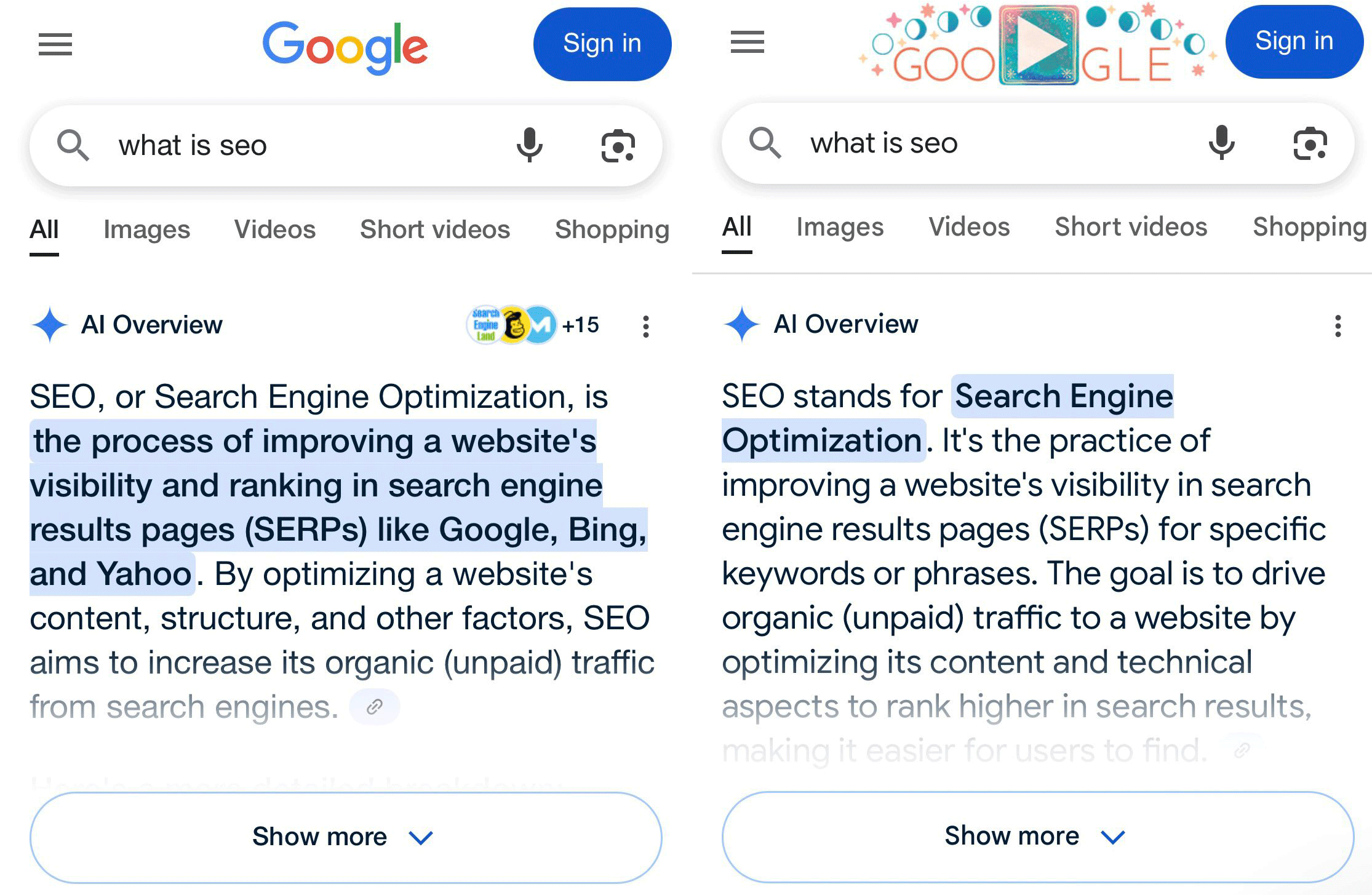 google ai overview