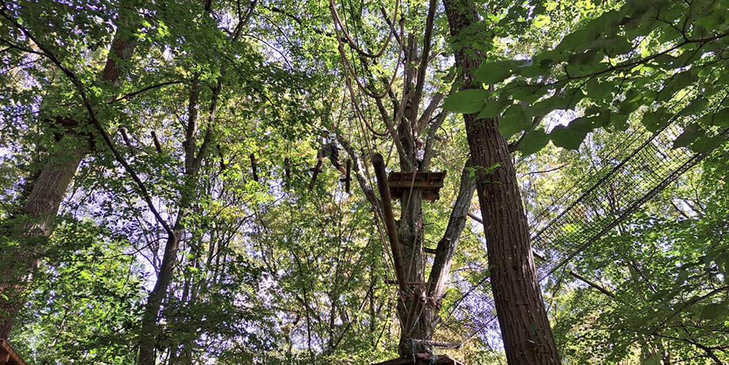 chichoune accrobranche