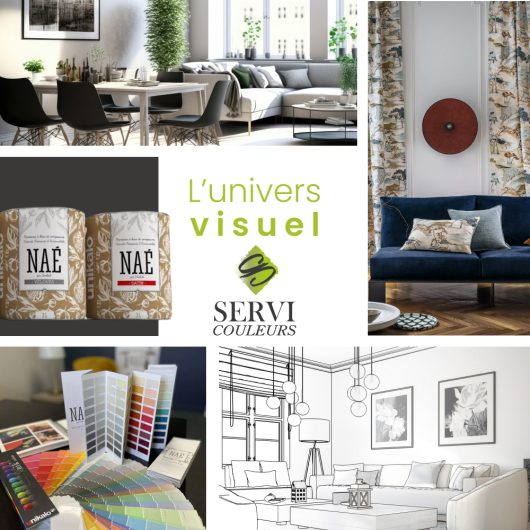 ref servi couleurs 1